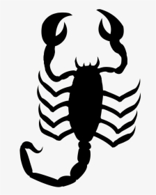 Scorpion Png Drawing, Transparent Png, Free Download