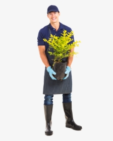 Man Gardening Png & Free Man Gardening Transparent, Png Download, Free Download