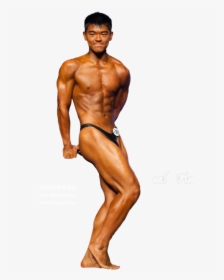 Body Builder Png - Male Body Builder Png, Transparent Png, Free Download