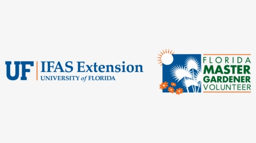 Logo Uf Ifas Extension University Of Florida, HD Png Download, Free Download