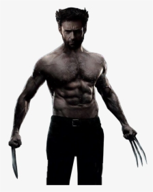 Wolverine Png Image - Wolverine Hugh Jackman White Background, Transparent Png, Free Download