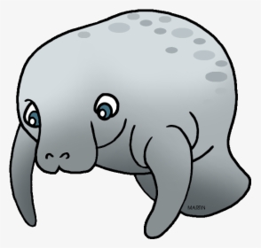 Manatee Cliparts Background - Clipart Manatee, HD Png Download, Free Download