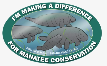 Manatee Decal - Arroz, HD Png Download, Free Download