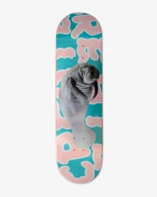 Manatee Birth - Skateboard Deck, HD Png Download, Free Download