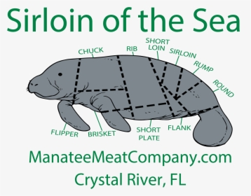 Sirloin Of The Sea Manatee, HD Png Download, Free Download