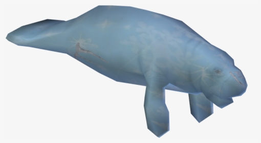 Whale, HD Png Download, Free Download