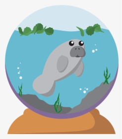 A Digital Work Of A Manatee In A Snow Globe - Cartoon, HD Png Download, Free Download