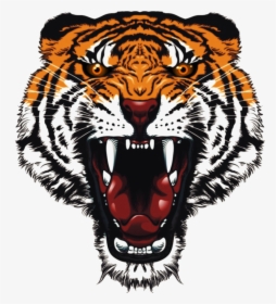 Tiger Face Png, Transparent Png, Free Download