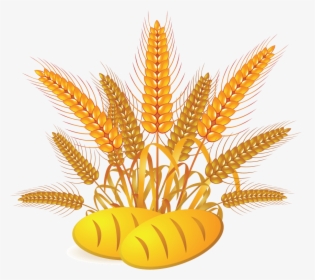 Free Png Wheat Png Images Transparent - Wheat Bread Clipart, Png Download, Free Download