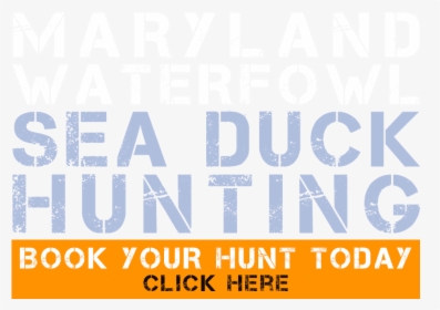 Book Your Hunt - Parkpop, HD Png Download, Free Download