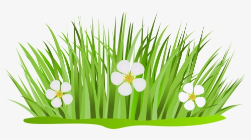 Grass Patch With Flowers Png Clip Art Image - Grass And Flower Clipart, Transparent Png, Free Download