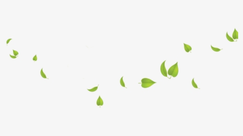 Falling Green Leaves Png, Transparent Png, Free Download