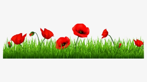 Clip Art Flower Row Clipart - Poppy Transparent Anzac Day, HD Png Download, Free Download