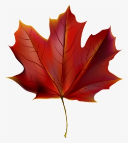 Beautiful Red Autumn Leaf Png Clipart Image - Red Autumn Leaf Png, Transparent Png, Free Download