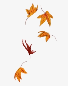Fall Leaves Clip Art/sticker - Leaves Png For Picsart, Transparent Png, Free Download