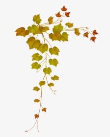 Decorative Clipart Falling Leave - Leaf Transparent Frame Free, HD Png Download, Free Download
