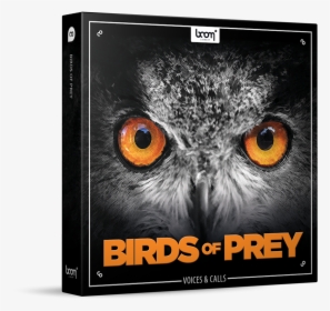 Birds Of Prey Sound Effects Library Product Box - Birds Of Prey Sound Effects, HD Png Download, Free Download