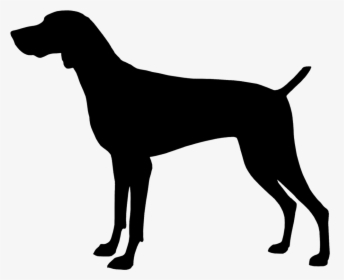 Dogs Clipart Gsp - Horse Silhouette Svg Free, HD Png Download, Free Download