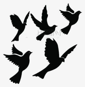 Columbidae Bird Flight Silhouette Clip Art - Flying Dove Clipart, HD Png Download, Free Download