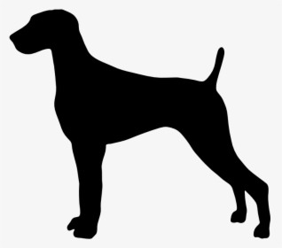 Gsp Silhouette At Getdrawings - Parson Russell Terrier Silhouette, HD Png Download, Free Download