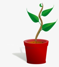 Growing Plant Png Free Download - Getting To Know Plants, Transparent Png, Free Download