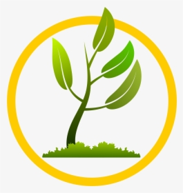 Green Plants Png - One Citizen One Tree, Transparent Png, Free Download
