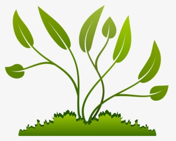 Weak Plant Clipart - Small Plant Growing Png, Transparent Png, Free Download