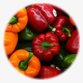Pimiento Morron, HD Png Download, Free Download