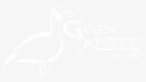 Goose Xperts Logo - Duck, HD Png Download, Free Download