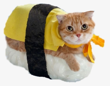 Catmoji Kitty Emoji Keyboard And Imessage Stickers - Sushi Cat, HD Png Download, Free Download