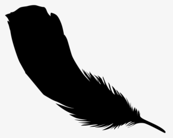 Clip Art Beak Feather Silhouette Black M - Eagle Feather Silhouette, HD Png Download, Free Download