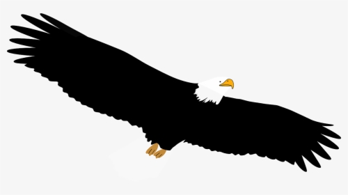 Bald Eagle Transparent Black And White, HD Png Download, Free Download