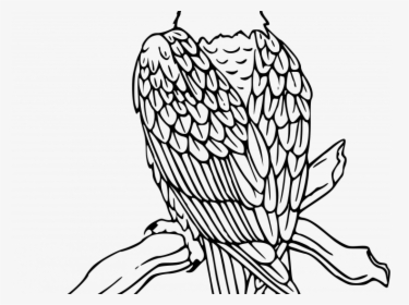 Eagle On Branch Drawing, HD Png Download, Free Download
