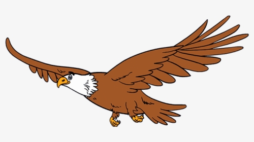 How To Draw Eagle - Eagle Drawing Easy With Color, HD Png Download, Free Download