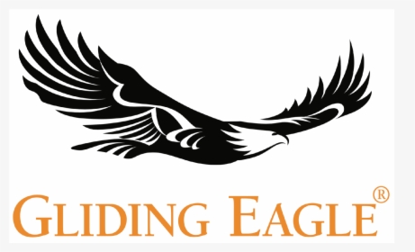 Gliding Eagles, HD Png Download, Free Download