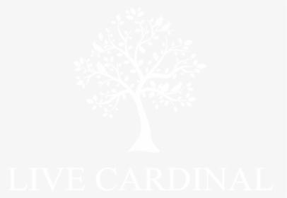 Image - Johns Hopkins Logo White, HD Png Download, Free Download