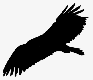Bald Eagle Flying Clip Art, HD Png Download, Free Download