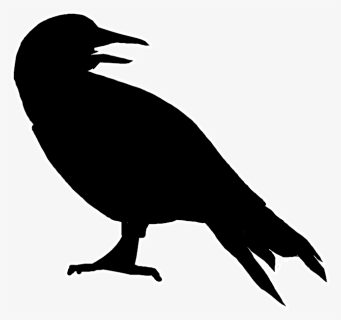 Canary Silhouette Png Download Morrigan Crow Illustrations - Silueta De Un Canario, Transparent Png, Free Download