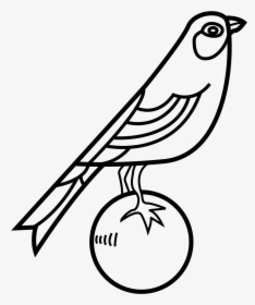 Norwich City Logo Png, Transparent Png, Free Download
