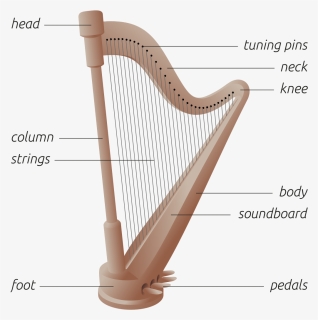 Diagram Of A Harp, HD Png Download, Free Download