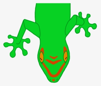 Tree Frog Clipart , Png Download - True Frog, Transparent Png, Free Download