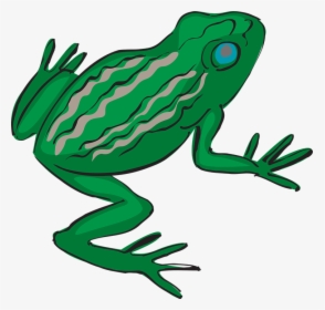 Blue Eyed Frog Svg Clip Arts - Frog's Legs Clipart, HD Png Download, Free Download