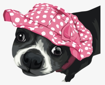 Attachment 1545614832 1 1 - Boston Terrier, HD Png Download, Free Download