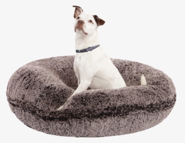 Dog In Dog Bed Png, Transparent Png, Free Download