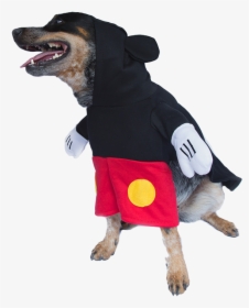 Mickey Mouse Funny Standing Costume For Dog - Dog, HD Png Download, Free Download