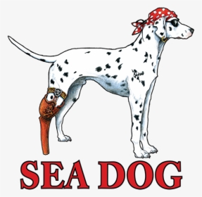 Sea Dog T Shirt, HD Png Download, Free Download