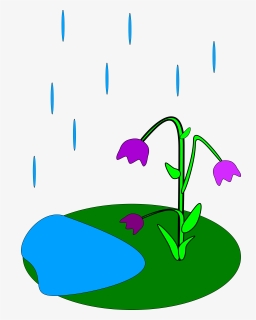 Flower In Rain Cartoon, HD Png Download, Free Download