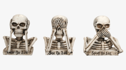 No Evil Skeleton Bust Trio - Skeleton See No Evil, HD Png Download, Free Download