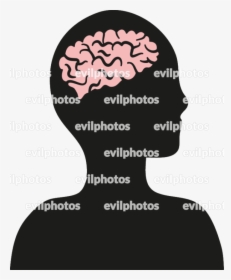 Brain Drawing Vector And Stock Photo - Poster, HD Png Download, Free Download