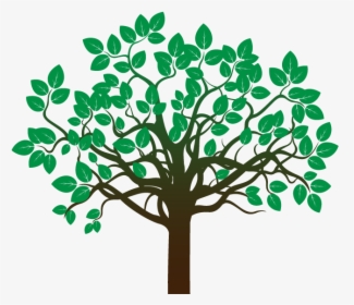 Professional Tree Care - Arbol Con Raices Dibujo, HD Png Download, Free Download